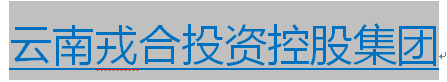 &#70;&#71;&#30005;&#23376;&#40;&#20013;&#22269;&#28216;&#41;&#23448;&#26041;&#32593;&#31449;