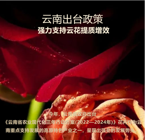 &#70;&#71;&#30005;&#23376;&#40;&#20013;&#22269;&#28216;&#41;&#23448;&#26041;&#32593;&#31449;